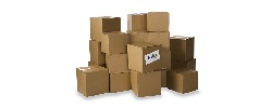 Alliance Logo